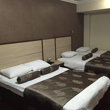 Halley Hotel Denizli (Denizli)