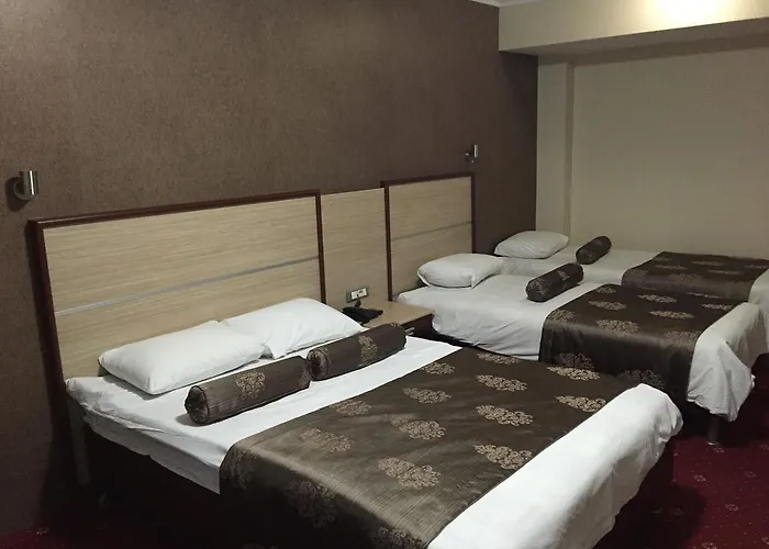 Halley Hotel Denizli (Denizli)