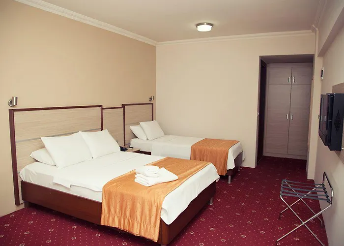 Halley Hotel Denizli (Denizli)